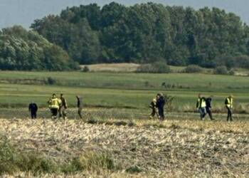 541995614 1717059065597861 5514469393257450744 n 1 750x375 1