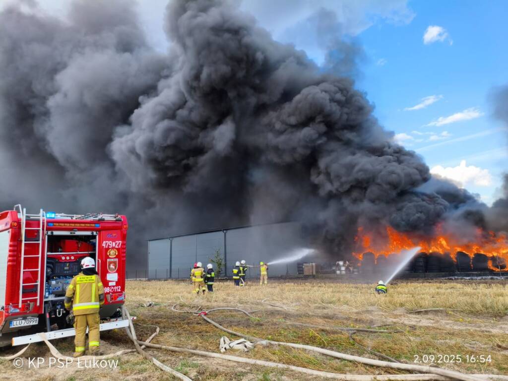 542823083 1099484052325498 962623205570084405 n