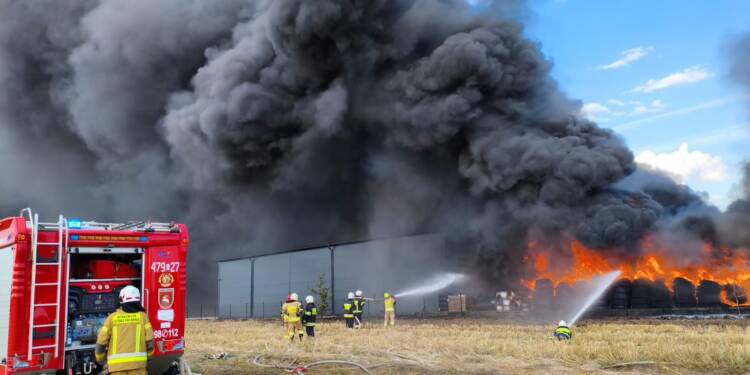 542823083 1099484052325498 962623205570084405 n