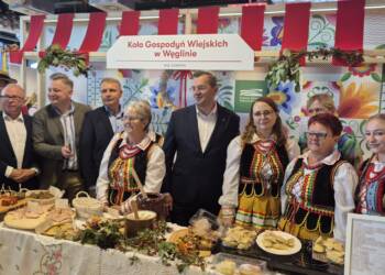 543503339 1111900817746145 6870426588507715263 n