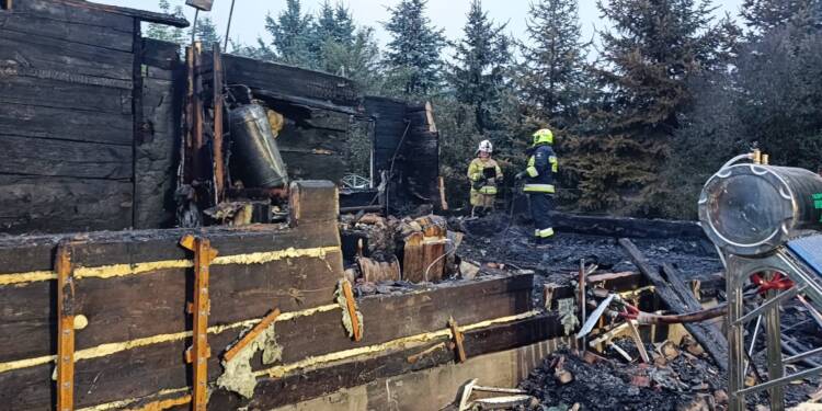 547257202 122146427396831963 2199678432388140363 n scaled 1