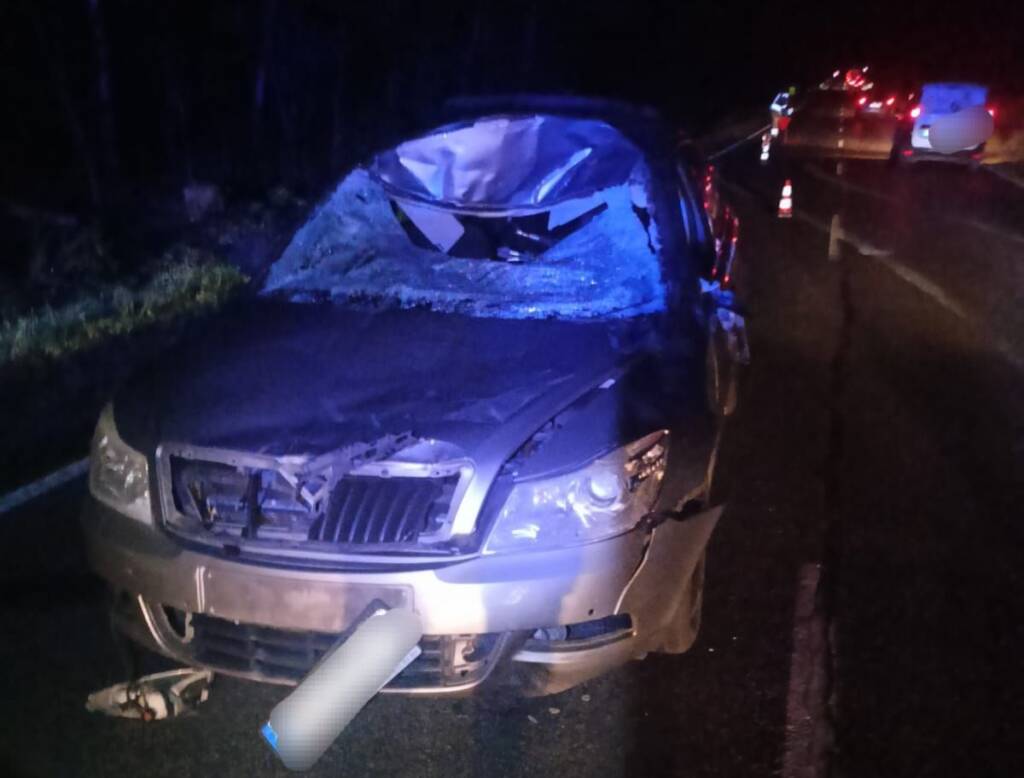Zderzenie samochodu z łosiem. Są utrudnienia 1 548070962 706623322392877 3449498521294867963 n e1758048242730