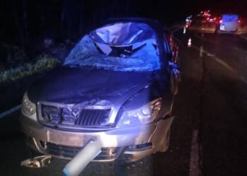 Zderzenie samochodu z łosiem. Są utrudnienia 4 548070962 706623322392877 3449498521294867963 n e1758048242730