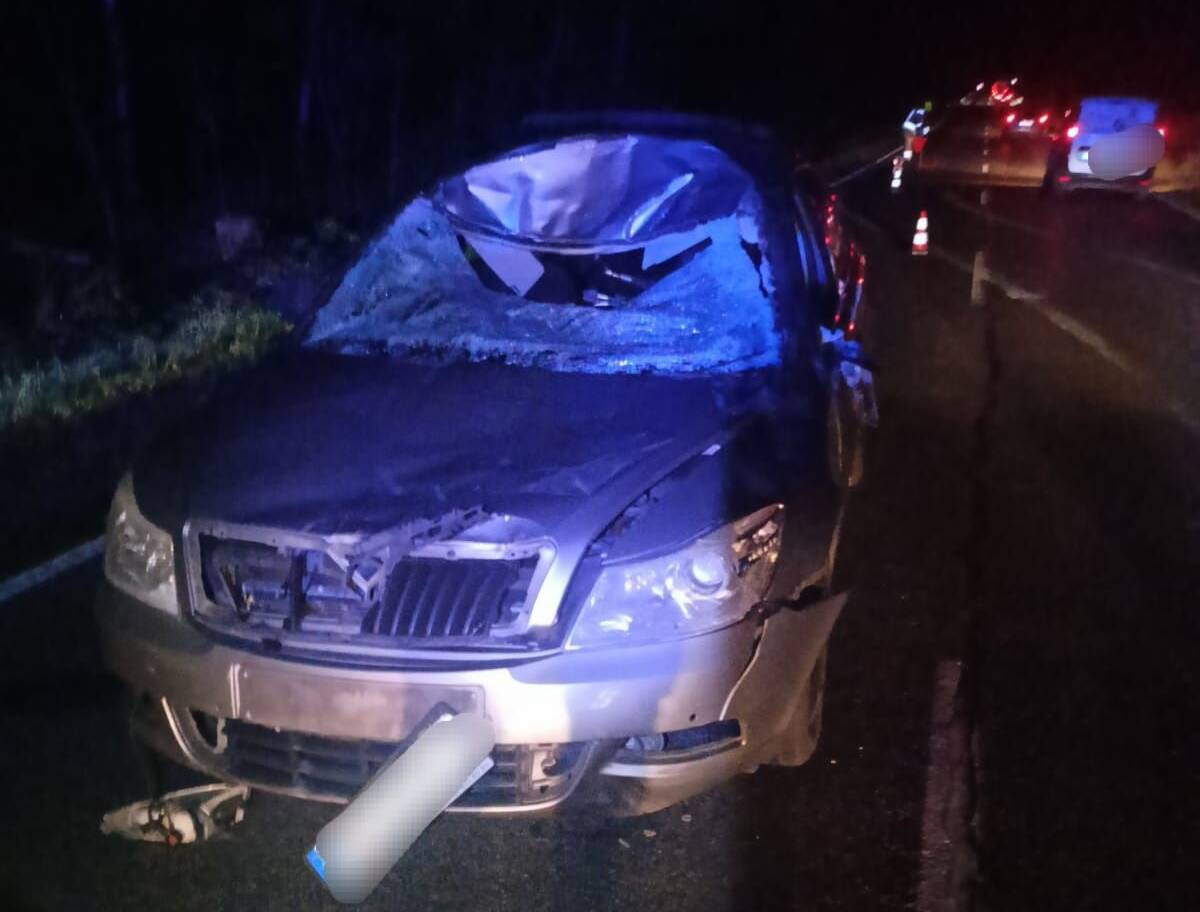 Zderzenie samochodu z łosiem. Są utrudnienia