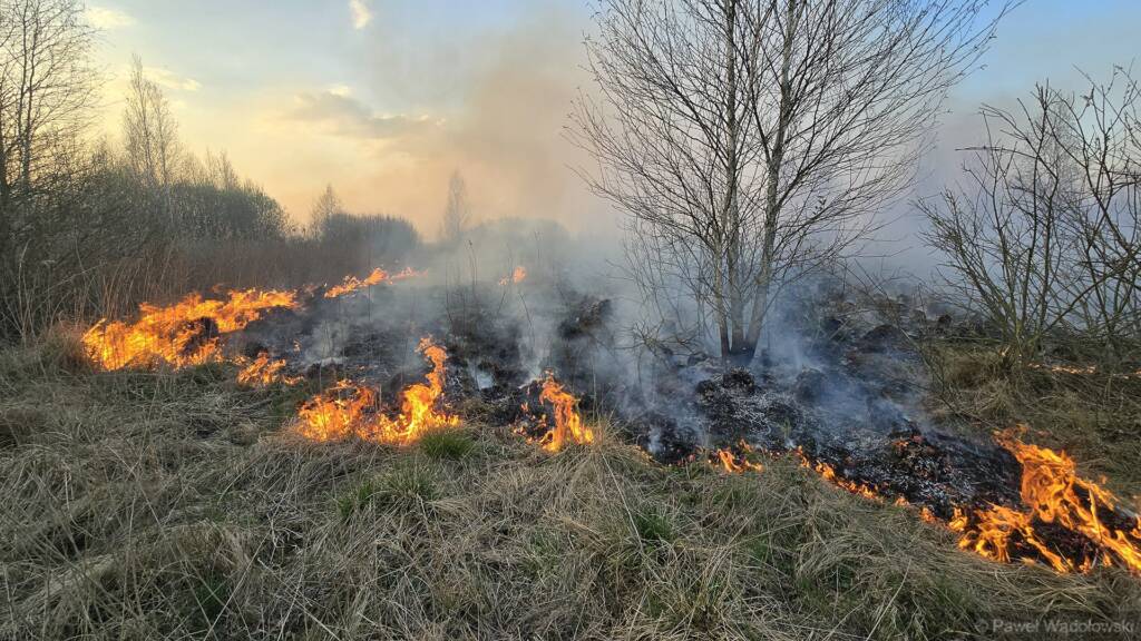 95f17a793ce16f70b112d6f0d7c2ce48