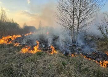 95f17a793ce16f70b112d6f0d7c2ce48