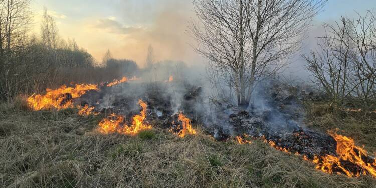 95f17a793ce16f70b112d6f0d7c2ce48