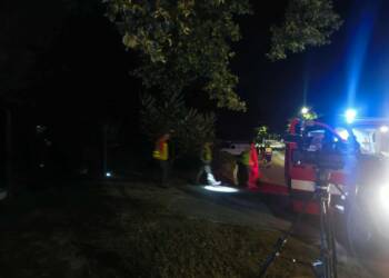 981ecd96 e903 4c46 b171 c297b56b298a