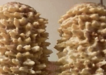 EAttachments3170450facb3051eddd853460f15c85132d00b5