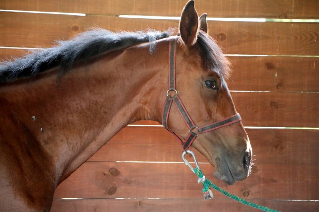 EAttachments725021688133e76e773ad41d9e6d3c848e60682