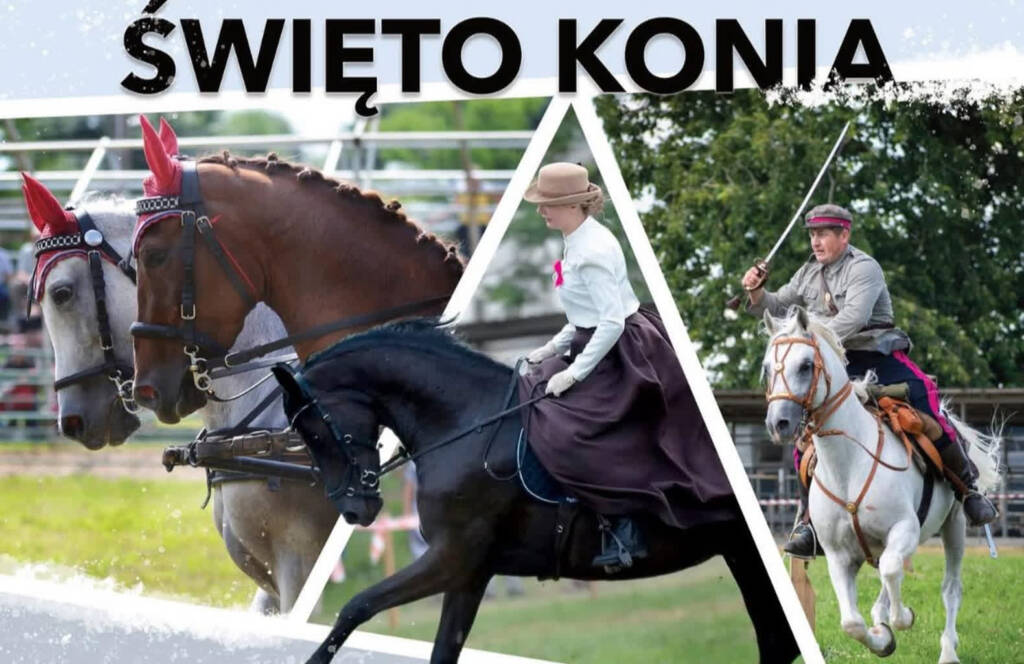 EAttachments89665204f5b00169821c9f0ec849517a995be2d xl