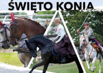 EAttachments89665204f5b00169821c9f0ec849517a995be2d xl