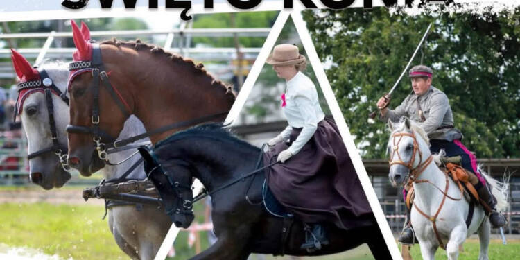 EAttachments89665204f5b00169821c9f0ec849517a995be2d xl