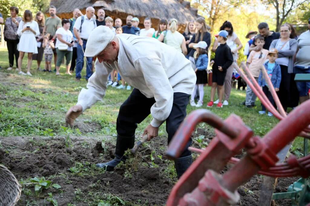 EAttachments89681041d34f5f7271930c9e5890a0119f1c487 xl 1