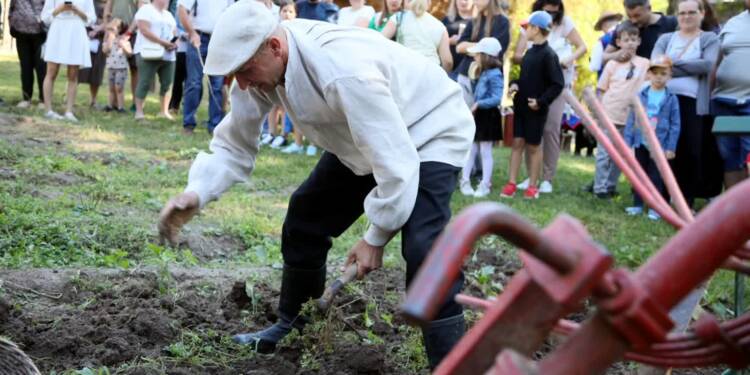 EAttachments89681041d34f5f7271930c9e5890a0119f1c487 xl 1