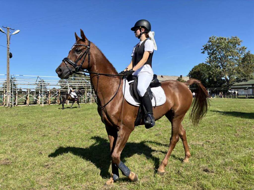 EAttachments8968107ebf0f1a0af52146f7a59a08386567cbb xl 1