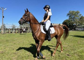 EAttachments8968107ebf0f1a0af52146f7a59a08386567cbb xl 1