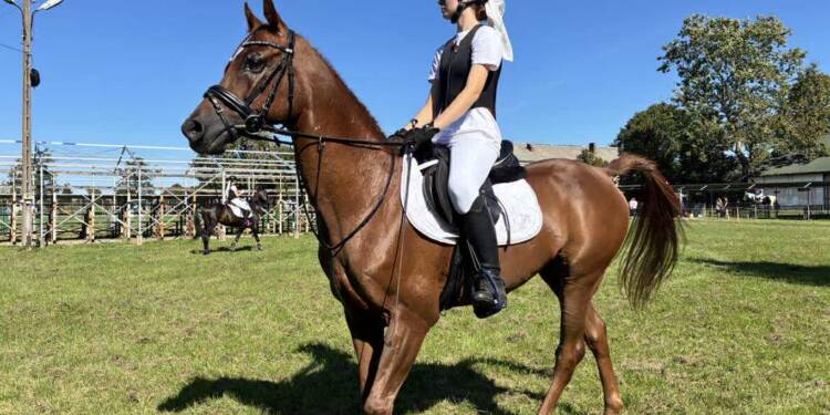 EAttachments8968107ebf0f1a0af52146f7a59a08386567cbb xl 1