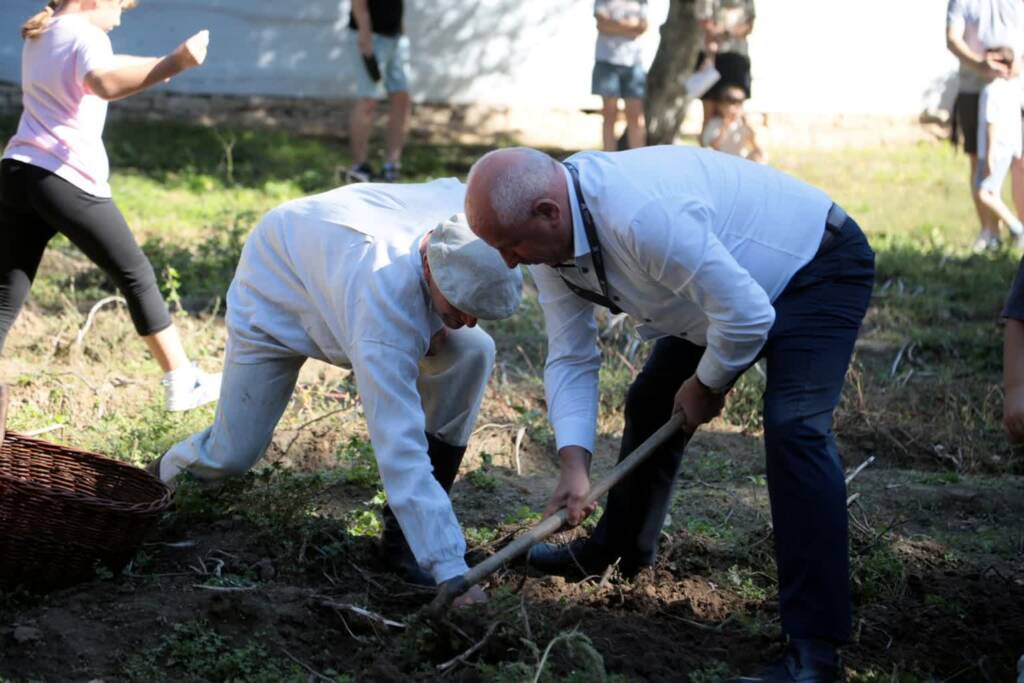 EAttachments896874129049c1a8106102853dffd8c9780411f xl