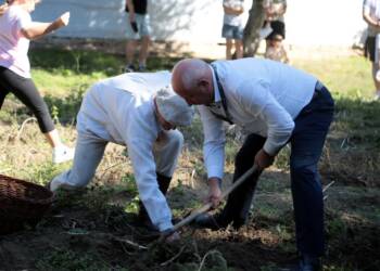 EAttachments896874129049c1a8106102853dffd8c9780411f xl