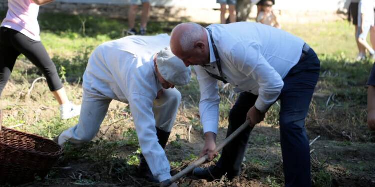 EAttachments896874129049c1a8106102853dffd8c9780411f xl