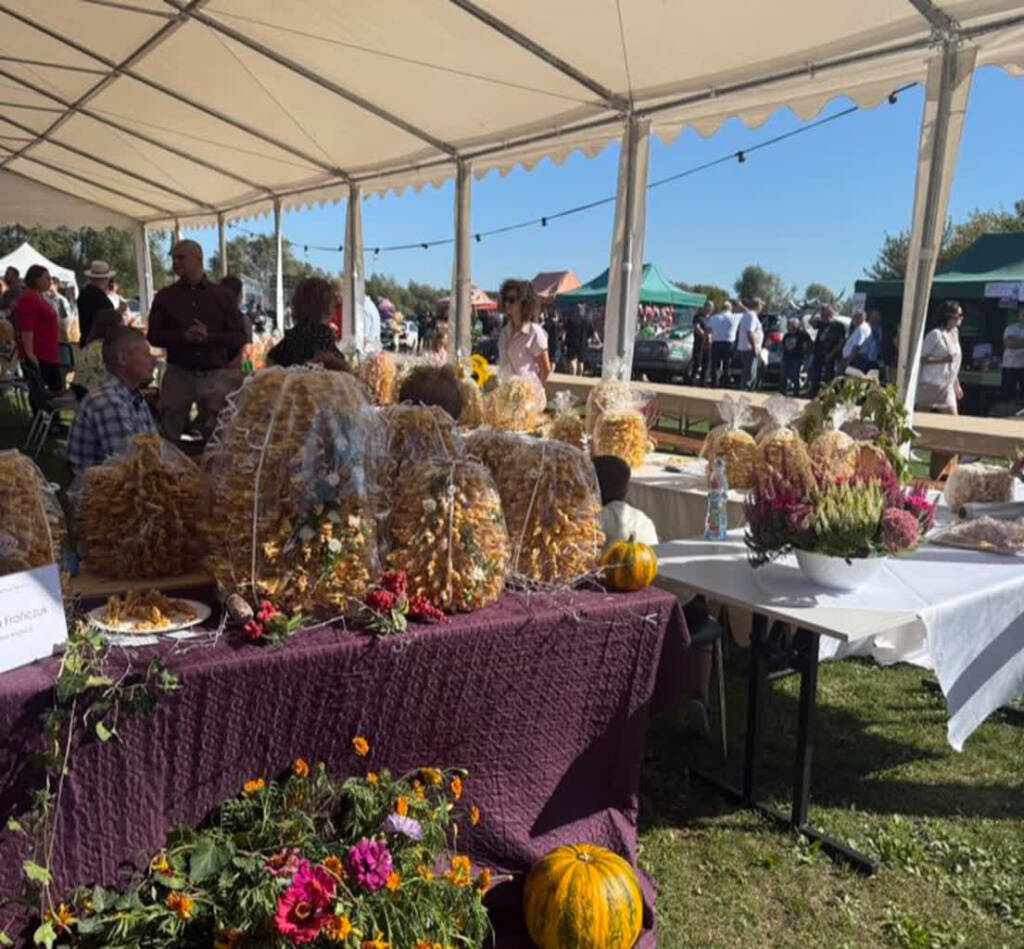 EAttachments896922737f0d1dcb471332fe36d8cf13ea7d302 xl