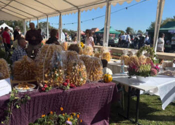 EAttachments896922737f0d1dcb471332fe36d8cf13ea7d302 xl