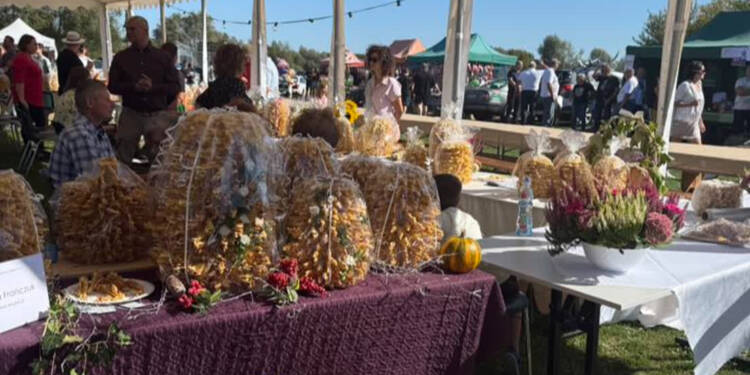 EAttachments896922737f0d1dcb471332fe36d8cf13ea7d302 xl