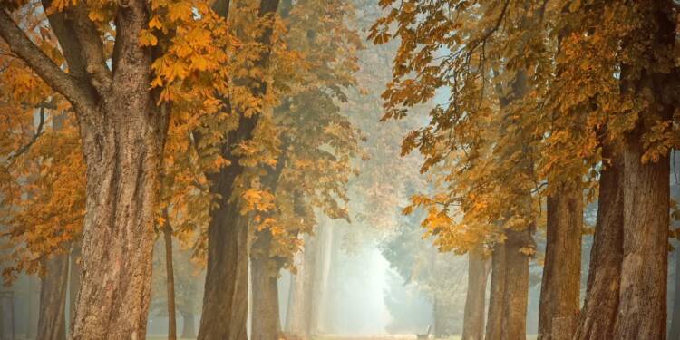 Żegnaj lato. Rozpoczyna się astronomiczna jesień 1 EAttachments89697435f7f08656ab80d090a43ce331c02864d xl