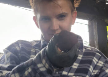 EAttachments8970112d480ea8b33b73d03d9cb58c1624dd037 xl