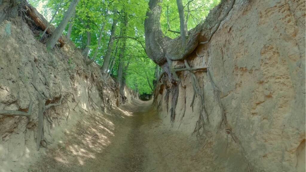 EAttachments897097499bbba8841842ab517882f74a8e60c38 xl