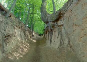 EAttachments897097499bbba8841842ab517882f74a8e60c38 xl