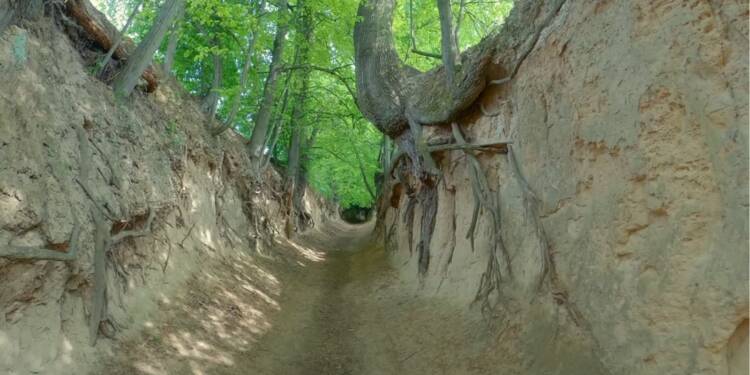 Jedna z największych atrakcji Kazimierza Dolnego. Słynny wąwóz otwarty po przerwie 1 EAttachments897097499bbba8841842ab517882f74a8e60c38 xl