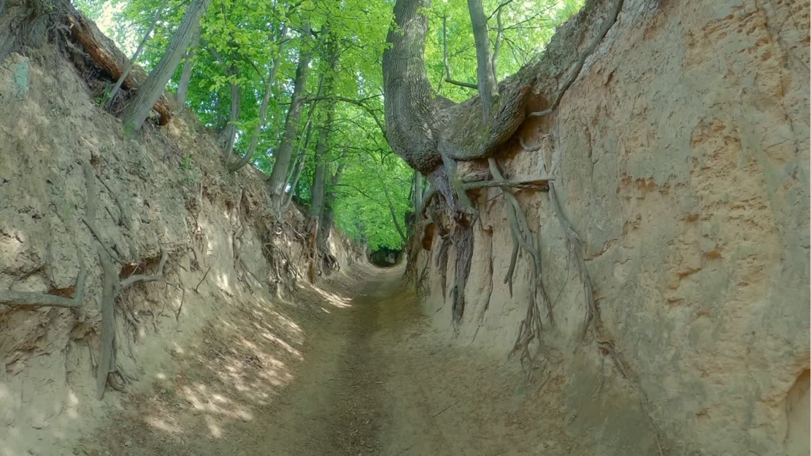 Jedna z największych atrakcji Kazimierza Dolnego. Słynny wąwóz otwarty po przerwie