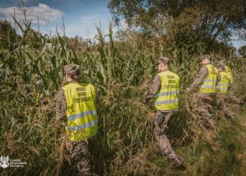 Terytorialski szukają szczątków pocisków. Działania w trzech powiatach regionu 3 EAttachments897290483deebb0ae584b2c47d9506676d9cc2e xl
