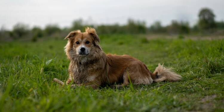 EAttachments8978791bfb0ea11cd8c79444b80977942f09647 xl