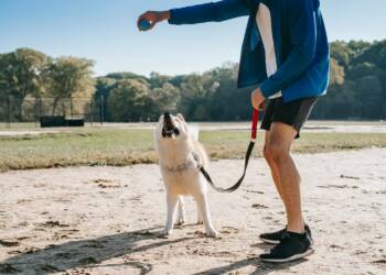 EAttachments8978801c5906fdc67fbb73c4f2b18eb24bea24b xl