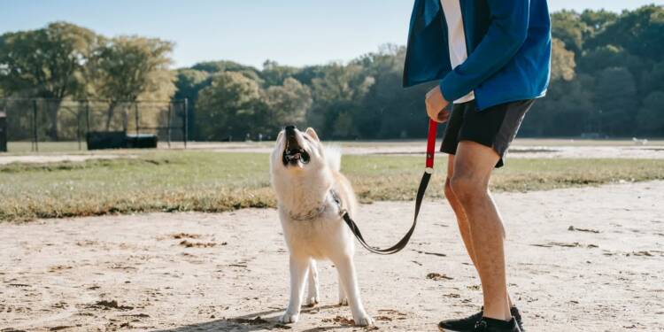 EAttachments8978801c5906fdc67fbb73c4f2b18eb24bea24b xl