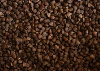 26.09.2025 Na widelcu - kaszotto 7 EAttachments8979315f7ba04d4e0aefc27f03930c31f40ba10 xl