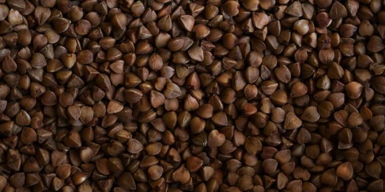 EAttachments8979315f7ba04d4e0aefc27f03930c31f40ba10 xl