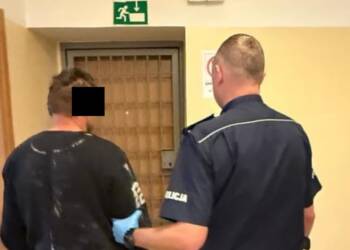 Odpowie za uśmiercenie kota ze szczególnym okrucieństwem. Grozi mu więzienie 5 EAttachments897956117aa1f38805e26b11e569c1323ce5121 xl