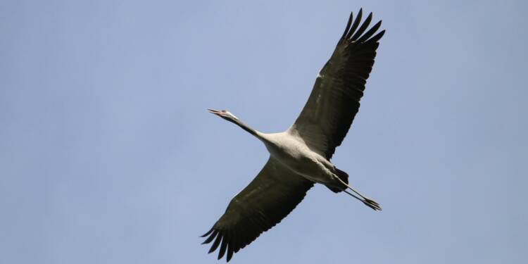 EAttachments89807301aa01e395625a2433ebab3541e172182 xl