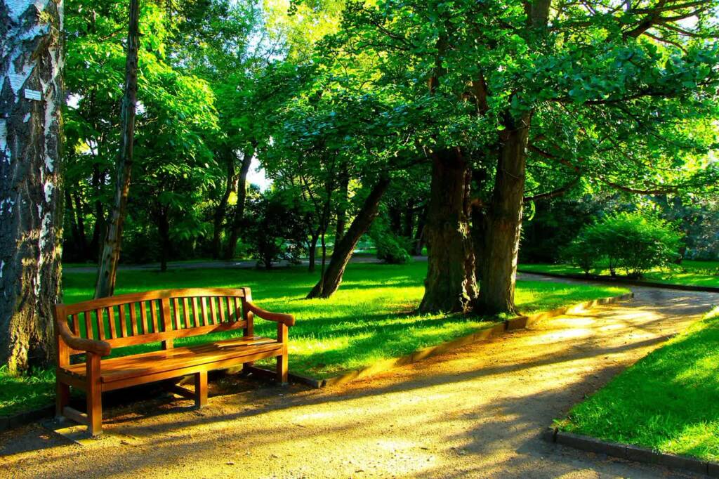 EAttachments898180027a7fdb79a0243ad4d0a316bf8c948e1 xl