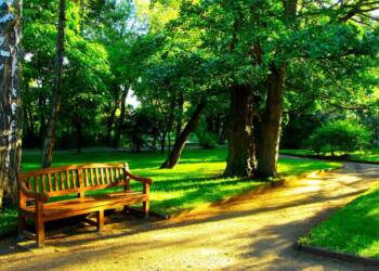 EAttachments898180027a7fdb79a0243ad4d0a316bf8c948e1 xl