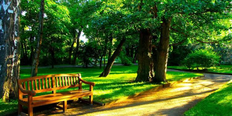 EAttachments898180027a7fdb79a0243ad4d0a316bf8c948e1 xl