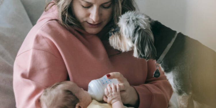 EAttachments89836751a6b23b383c52c48583b8e2c004a3d76 xl