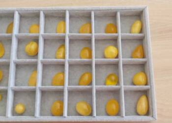 EAttachments89836932bd46d3ee04421f1dec8252a81da09c1 xl