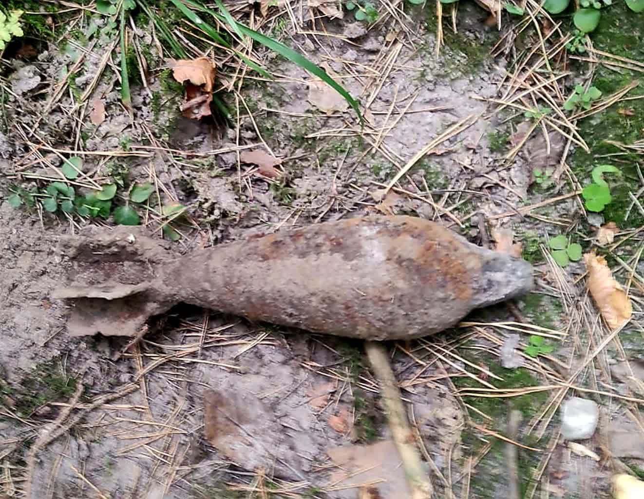 Niebezpieczne znalezisko podczas grzybobrania