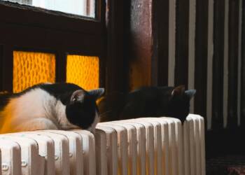 EAttachments8985483d473c715110420bde6fb964790b93c9a xl