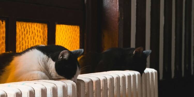 EAttachments8985483d473c715110420bde6fb964790b93c9a xl